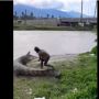 Nyaris Diterkam Gegara Nekat Ganggu Buaya Berukuran Besar, Aksi Pria Ini Justru Tuai Komentar Kocak