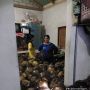 Rumah Keluarga Ini Mendadak Diserbu Buah Kelapa Gegara Kebanjiran, Warganet: Gak Tau Harus Sedih Atau Bahagia