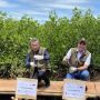 Kabupaten Tangerang Hadirkan Ketapang Urban Aquaculture, Ekosistem Mangrove untuk Entaskan Banjir di Pesisir