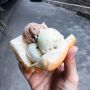 Resep Es Krim Tanpa Susu, Pakai Santan Rasanya Manis Gurih Nagih