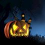 Halloween di Jepang: Tradisi Baru yang Terus Bertumbuh dari Tahun ke Tahun