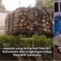 Surat Terbuka Gadis Ini untuk Pejabat Minta Tanggung Jawab Rumah Neneknya Rusak Diduga Gegara Truk Angkut Kayu