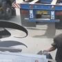Dua Bajing Loncat Curi Isi Truk Kontainer di Jalan Cawang-Cilincing saat Kondisi Macet