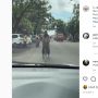 Video Emak-emak Gowes Sepeda Lawan Arus Trus Berhenti di Tengah Jalan, Warganet: The Real Penguasa Jalanan