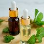 5 Manfaat Tea Tree Oil, dari Mengatasi Kulit Berjerawat hingga Jadi Antiseptik