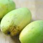 Jarang Diketahui, Ini 5 Manfaat Buah Mangga bagi Kesehatan
