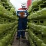Untuk Warga Samarinda, Pertamina Tambah 42 Ribu Tabung LPG 3 Kg