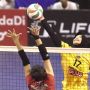 Livoli Divisi Utama 2022: Petrokimia Libas Kharisma di Final Four