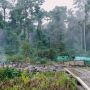 Perkemahan Penambang Dibakar, Satu Orang Meninggal Dunia