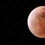 Gerhana Bulan Total Hari Ini, Warga Sumsel Bisa Menikmati di Jam Berikut Ini