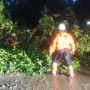 Longsor Akibat Hujan Angin, Pohon Tumbang Timpa Pengendara Motor di Jalur Jember-Banyuwangi Gunung Gumitir