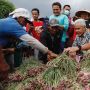 Jamin Petani Dapatkan Akses Pupuk Bersubsidi, Ganjar Buat Posko Pelayanan dan Aduan