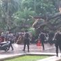BPBD DKI: Korban Luka Akibat Pohon Tumbang di Balai Kota Enam Orang