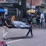 Keranda Mayat Hitam Berdatangan ke Stadion Gajayana Malang