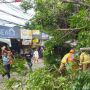 Pemprov DKI Janji Beri Kompensasi Rp 25-50 Juta Bagi Warga Terdampak Pohon Tumbang