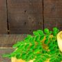 5 Manfaat Daun Kelor Bagi Kesehatan, Menghambat Sel Kanker di Tubuh