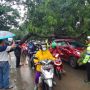 Satu Mobil Merah Tertimpa Pohon Tumbang di Cengkareng, Penumpangnya Selamat?