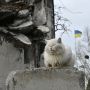 Penampakan Mural Seniman Banksy Hiasi Bangunan Hancur di Ukraina
