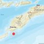 Gempa Bumi di Kupang Tidak Berpotensi Tsunami, Ini Penyebabnya