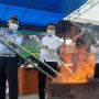 Barang Bukti 15 Kg Ganja dan 37 Gram Sabu Dimusnahkan Kejari Pariaman