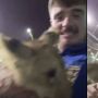 The Hangover Versi Qatar, Fans Inggris Berburu Bir Keliling Doha hingga Berpesta di Rumah Syekh dengan Singa