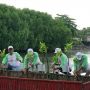 SKK Migas, KKKS dan KLHK Tanam Puluhan Ribu Mangrove untuk Tekan Emisi Karbon