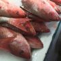Bisnis Retail Ikan Beku Dinilai Optimistis Tahun Ini