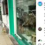 Bahaya! Kabel Listrik PLN Putus, Diiikat Menggantung di Pintu Toko di Legian