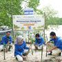 Pupuk Kaltim Tanam Ribuan Bibit Mangrove dan Media Transplantasi Terumbu di Maratua