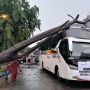 Akibat Hujan Deras, Pohon Tumbang Timpa Bus Relawan Jokowi di Bekasi