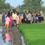 Pencari Belut di Ngawi Tergeletak di Sawah, Diduga Tersengat Jebakan Tikus