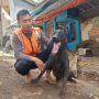 Kisah Walet: Anjing Pelacak Berhasil Temukan 10 Jenazah Korban Gempa Cianjur