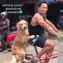 Main Sepeda Bareng, Anjing Ini Tenang Dibonceng Pemiliknya di Belakang