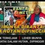 Biadab! Anak Rantai Leher dan Tangan Ibu Kandung di Pinggir Hutan Banten, Hotman Paris Langsung Bertindak