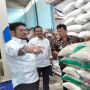 Kementan Surati Dirut Bulog, Minta 610.632 Ton Beras dari 24 Provinsi Segera Diserap