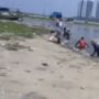 Ribuan Ikan Kecil Naik ke Daratan Pantai Mutiara, BMKG Minta Masyarakat Tak Panik: Bukan Tanda Gempa
