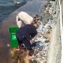 Bukan Diracun, Polisi Klaim Ribuan Ikan Menepi ke Pantai Mutiara Akibat Fenomena Alam