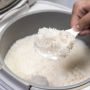 Segini Anggaran Buat Bagi-bagi 680 Ribu Rice Cooker Gratis, Apa Tujuannya?