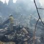 Lapak Pengepul Rongsokan di Kebon Jeruk Terbakar, 4 Rumah Ludes Rata dengan Tanah