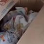 Bayi Dibuang, Ditemukan dalam Kardus, Orangtua Bekali Uang Rp50 Ribu, Dot dan Kerudung