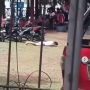 Pria Pengidap Stroke Guling-gulingan Diserbu Kawanan Lebah di Buperta Cibubur, Ternyata Awalnya Usir Monyet