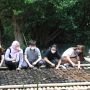 Peduli Kelestarian Lingkungan Hidup Lewat Gerakan Tanam Bibit Mangrove