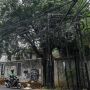 Kurangi Kabel Semrawut di Jakarta, Dinas Bina Marga Cabut 400 Tiang per Hari
