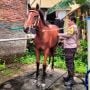 Wawancara Eksklusif Pak Bhabin Polsek Kesugihan: Tak Gugup Meski Dipercaya Jadi Kusir Kereta Kencana Kaesang-Erina