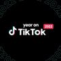 Year on TikTok 2022, Kak Jill, Alif, dan DARARI Challenge Jadi Paling Favorit