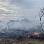 6 Lapak Barang Bekas di Kebon Jeruk Terbakar, 15 Damkar Dikerahkan, Lurah: Ini yang Ketiga Kalinya