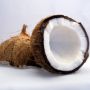6 Cara Memasak Santan Supaya Tidak Pecah dan Menggumpal, Gampang Dicoba!