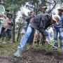 Perkuat Industri Pariwisata di Dieng, Ganjar Ikut Tanam 283.000 Kopi Bersama Petani Milenial