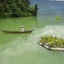 Usaha Konservasi Lahan Basah Terapung di Danau Maninjau