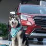 Peduli kepada Satwa dan Alam Bebas, Subaru Indonesia Berpartisipasi dalam Acara Tahunan Pet Kingdom